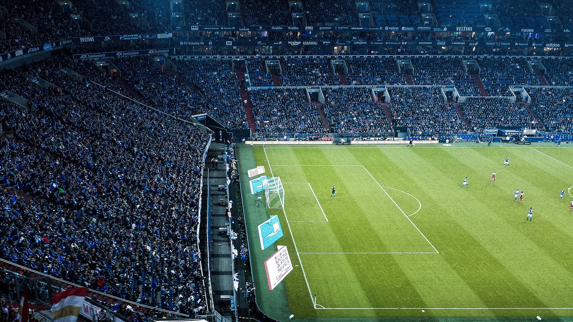 《Hope：年轻天才的崛起，期待更多精彩表现》，年轻的天才们